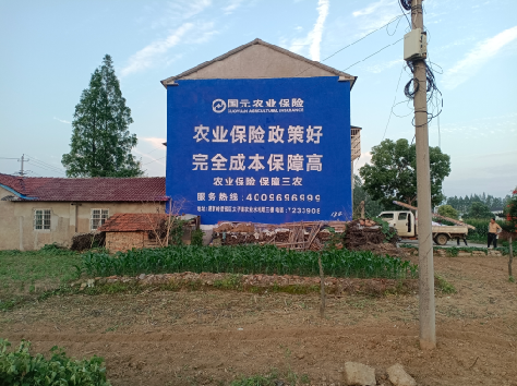 湖口墙体广告的优劣势你知道吗？