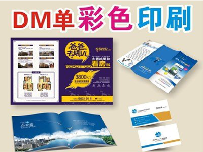 湖口单页印刷，色彩搭配简单。